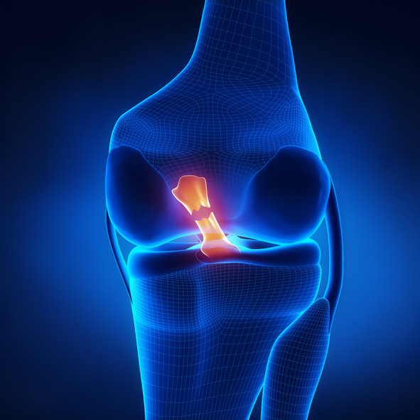 What IS an ACL injury? How long does it take to come back from? episode artwork