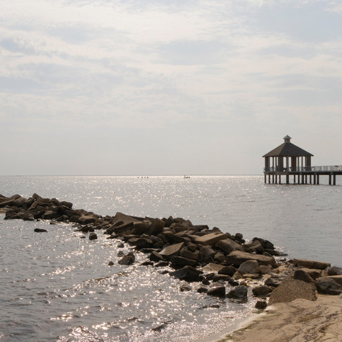 How the Pontchartrain Conservancy protects our waterways episode artwork