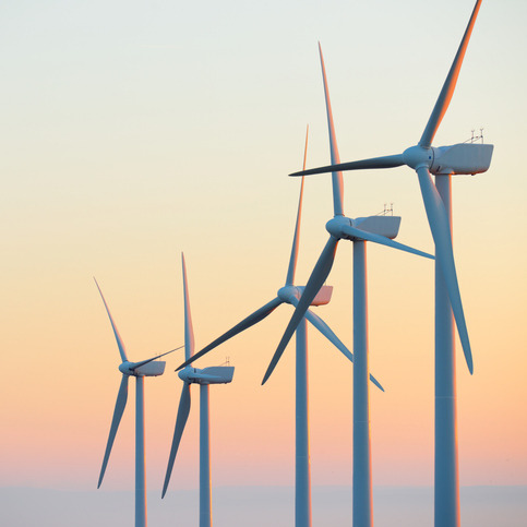 The Trump administration is opposed to wind power. What's that mean for Louisiana? episode artwork