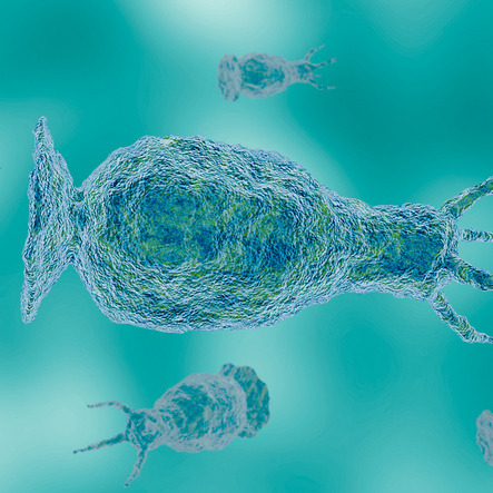 An 8 year old Louisiana girl died from a brain-eating amoeba. Here's what to know episode artwork