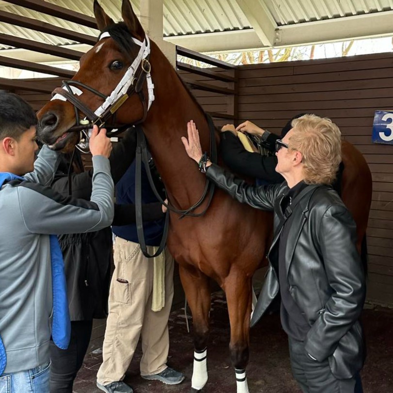 If you wanna breed two horses, they need to be in a stable relationship: Full Show 3/24/2025