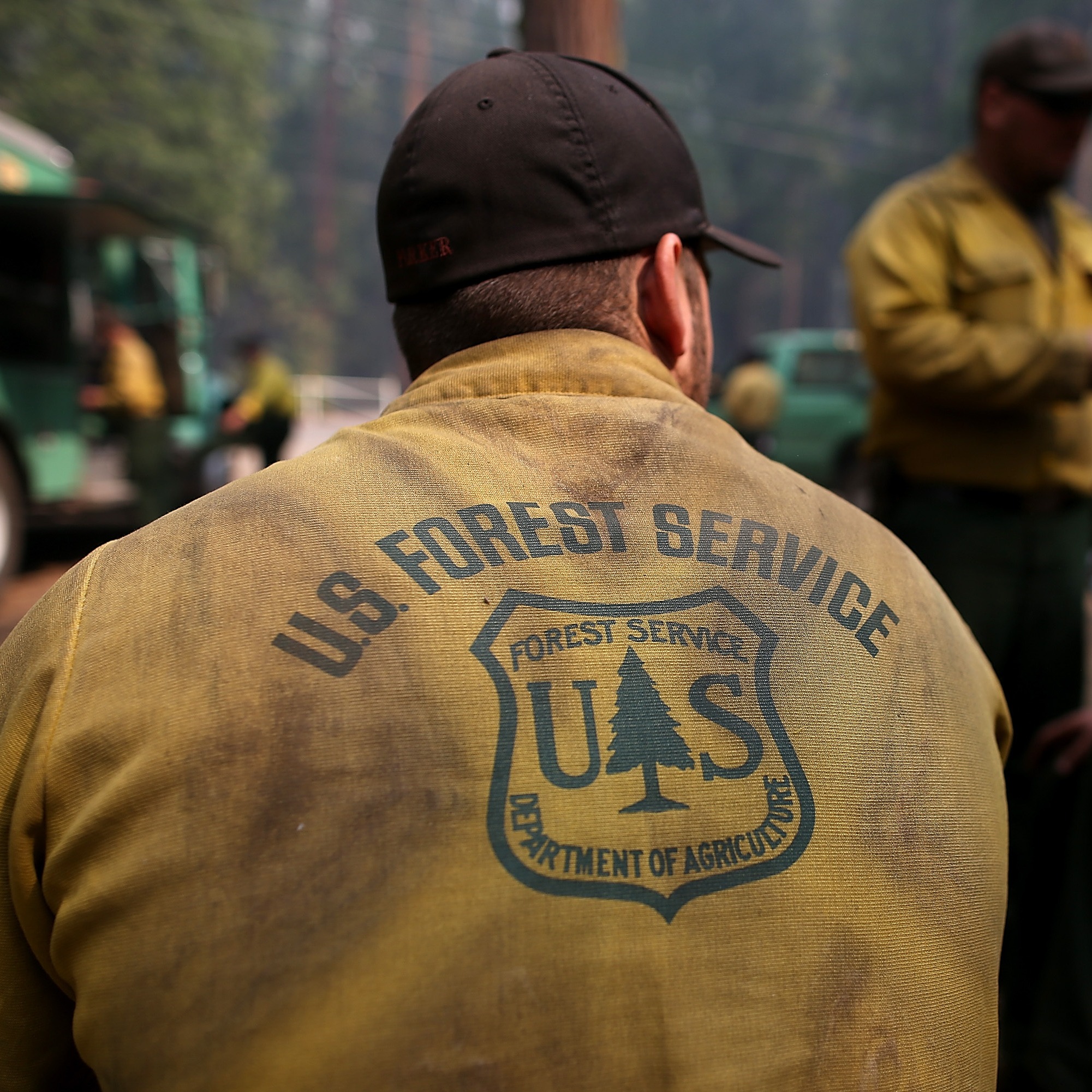 In defense of public lands; why we need the US Forest Service episode artwork