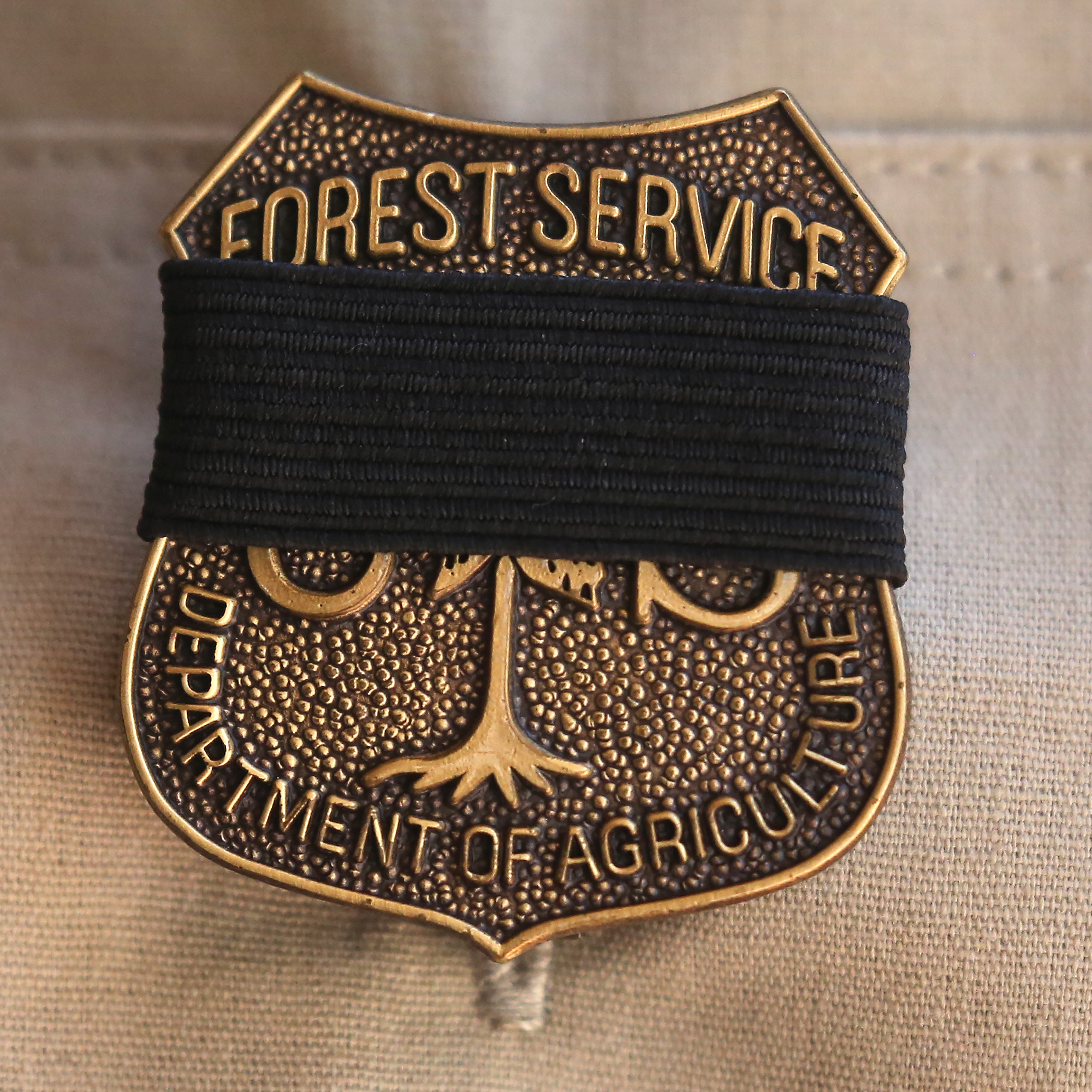 Ian Hoch Hour 1:  Don't fall for Trump's "common sense" reforms to Forest Service episode artwork