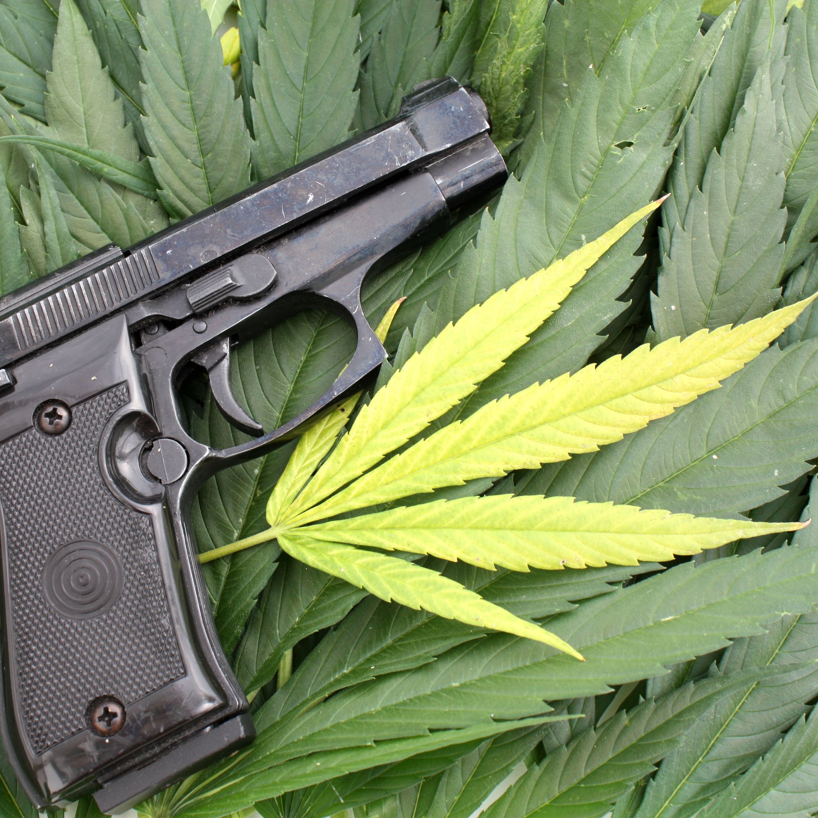 Who do you trust more with a gun; a drunkard or a pot-head? episode artwork