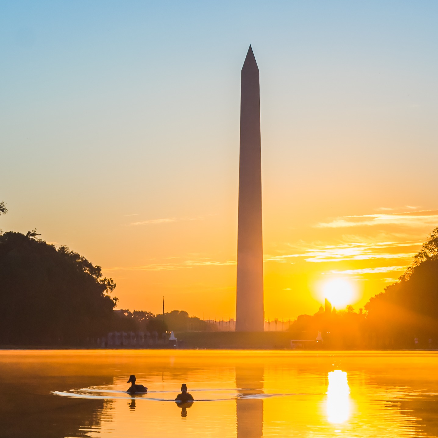 Hour 2: The latest controversy at the Lincoln Memorial Reflecting Pool; 2 DUCKS ARE DEAD! episode artwork