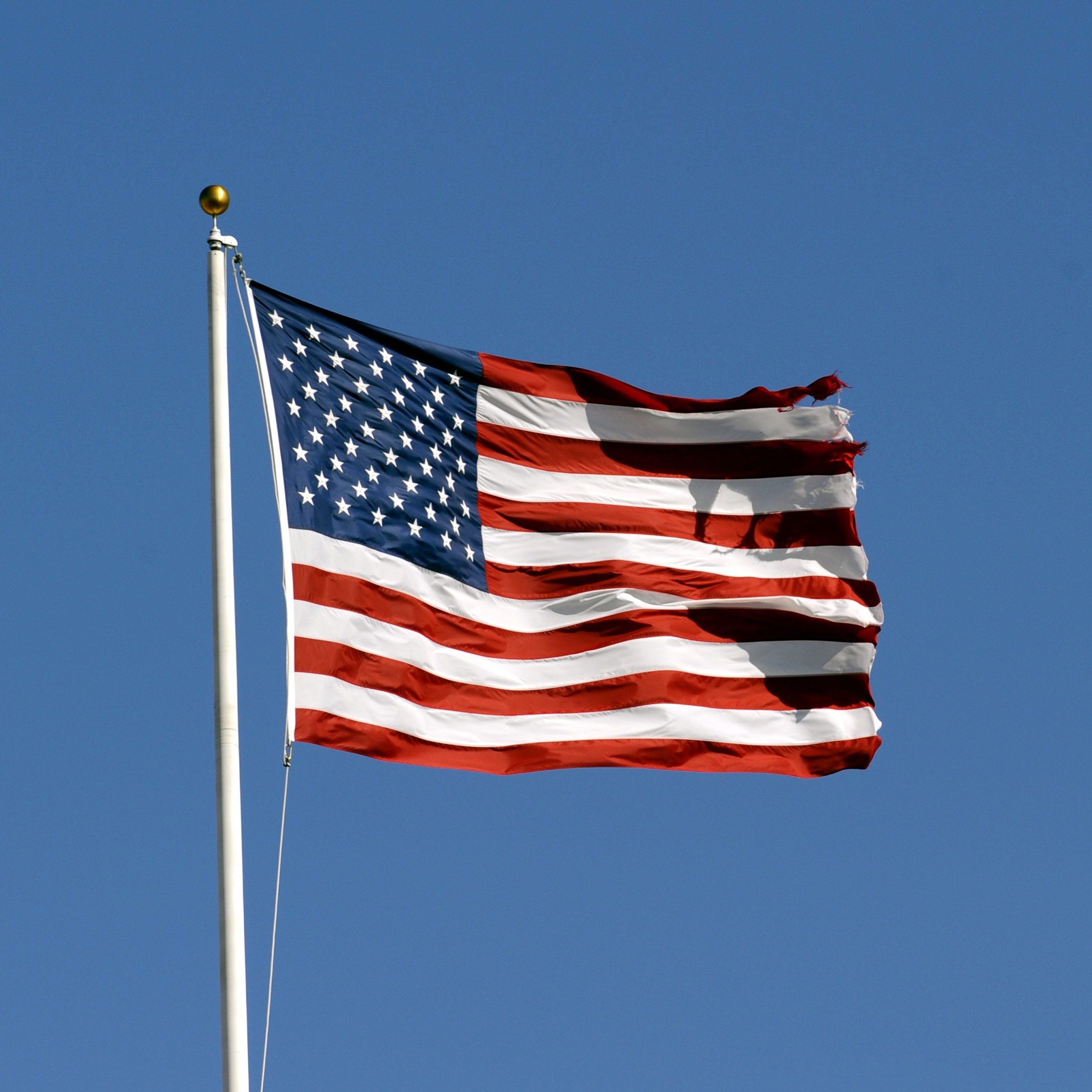 Full Show 7/21/2026: The American Flag Flies for Everyone! episode artwork