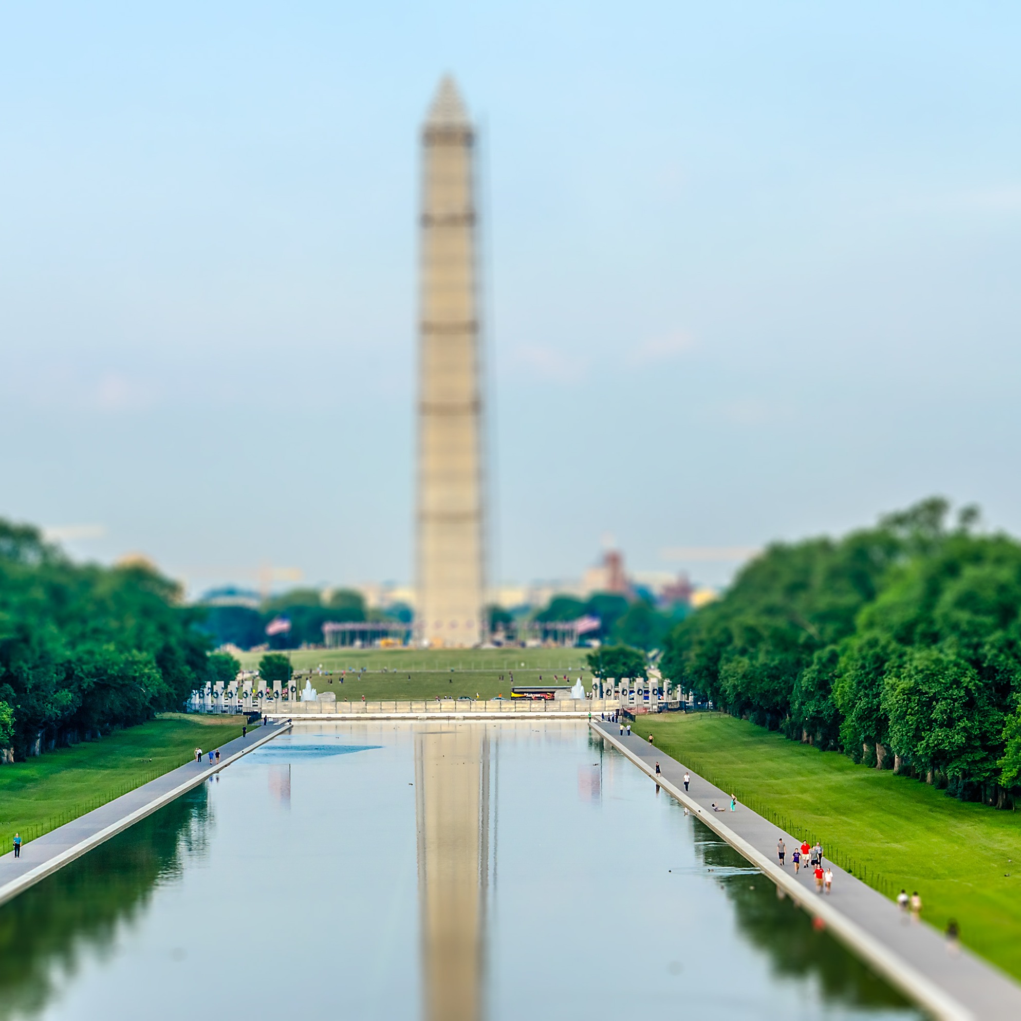 "The President is so fragile that he can't admit when he makes a mistake" - Scoot talks about the accusation that David Hearn vandalized the Reflecting Pool is falling apart episode artwork