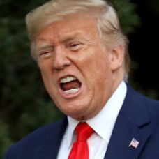 Bad 24 hours for White House's legal battles episode artwork