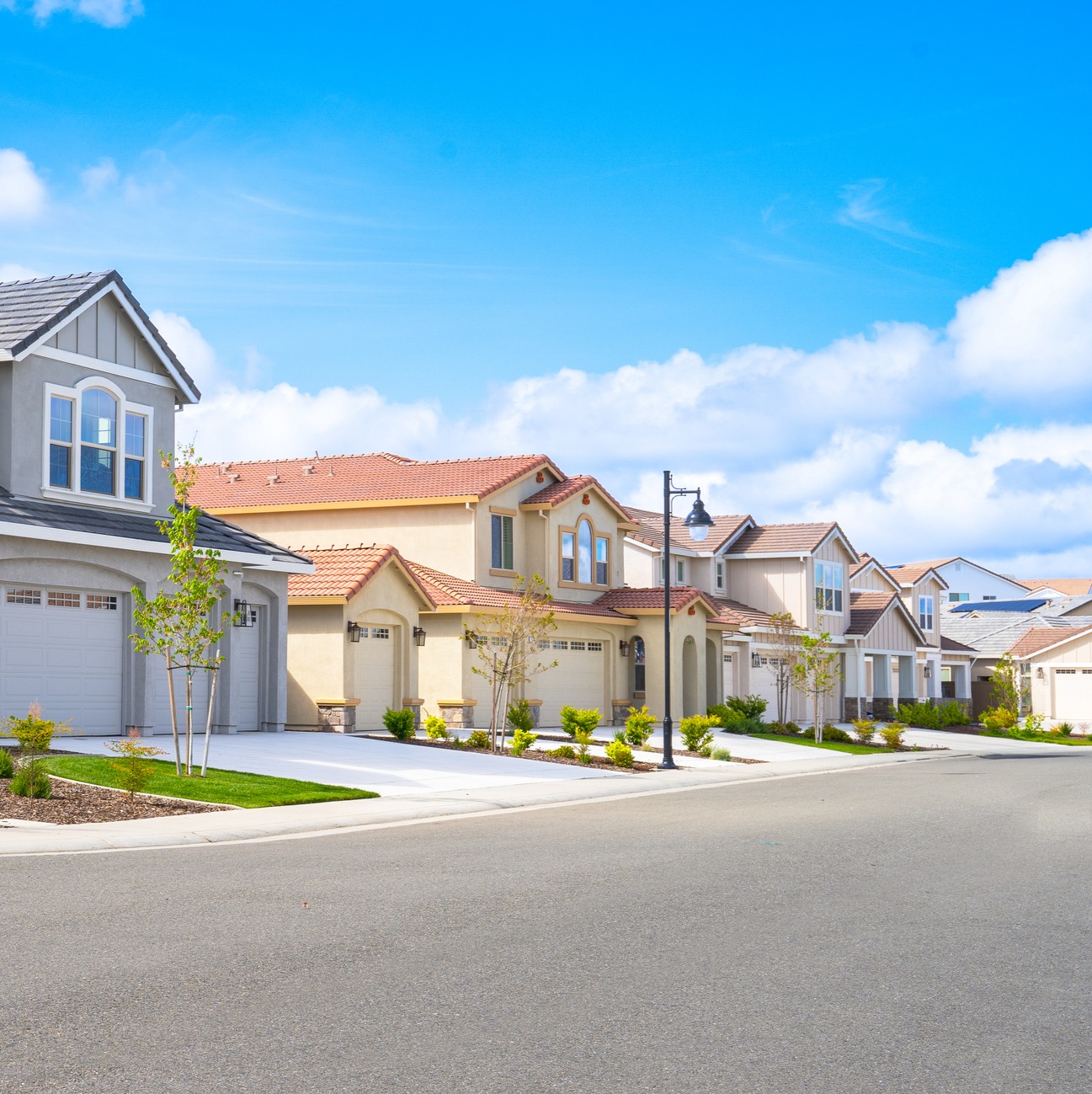 The Home Improvement Show