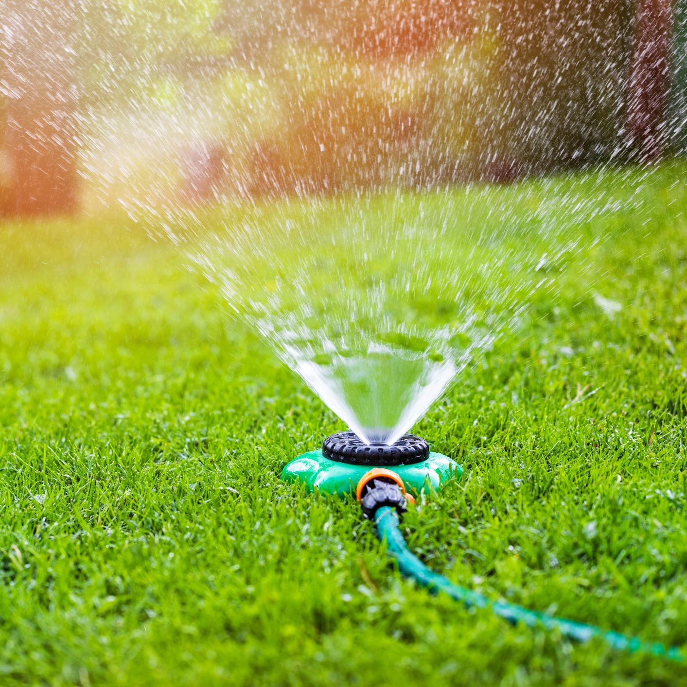 Check your yard for signs of overwatering!: Full Show 11/16/2024 episode artwork