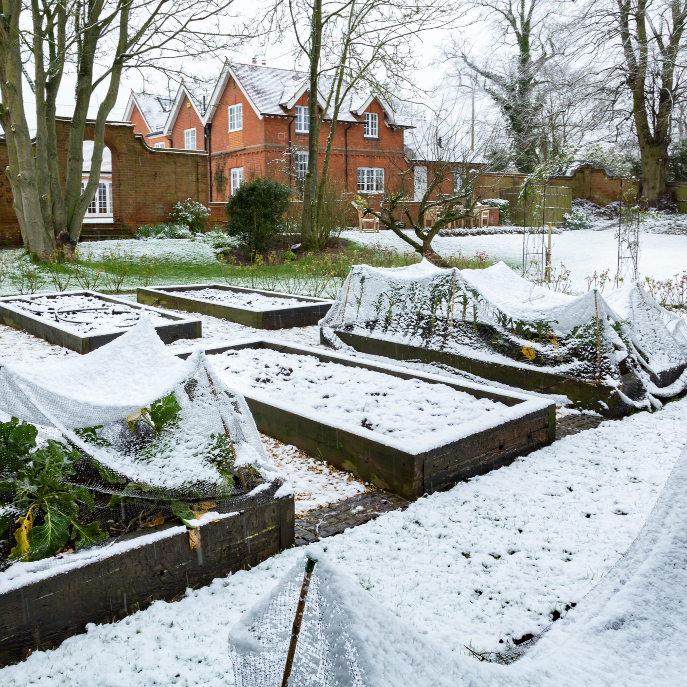 What can I do to start preparing my plants for hard freezes? episode artwork