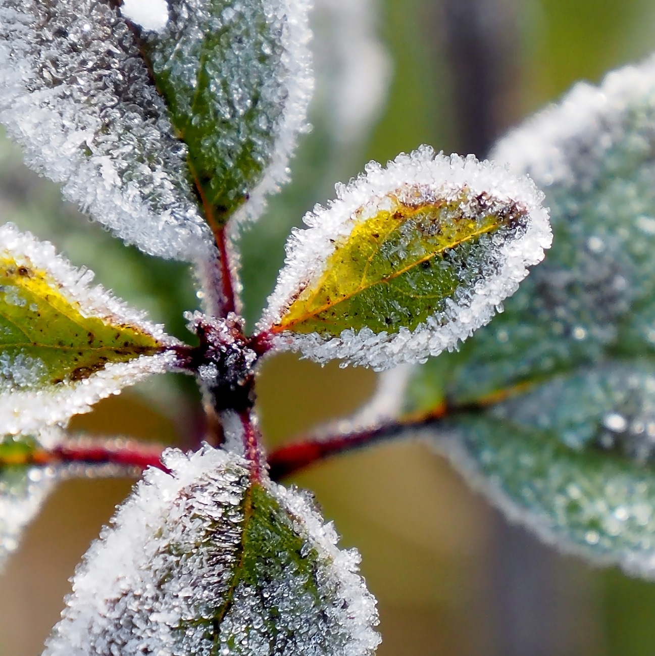 Now is the time to get ready for a big freeze!: Full Show 1/4/2025 episode artwork