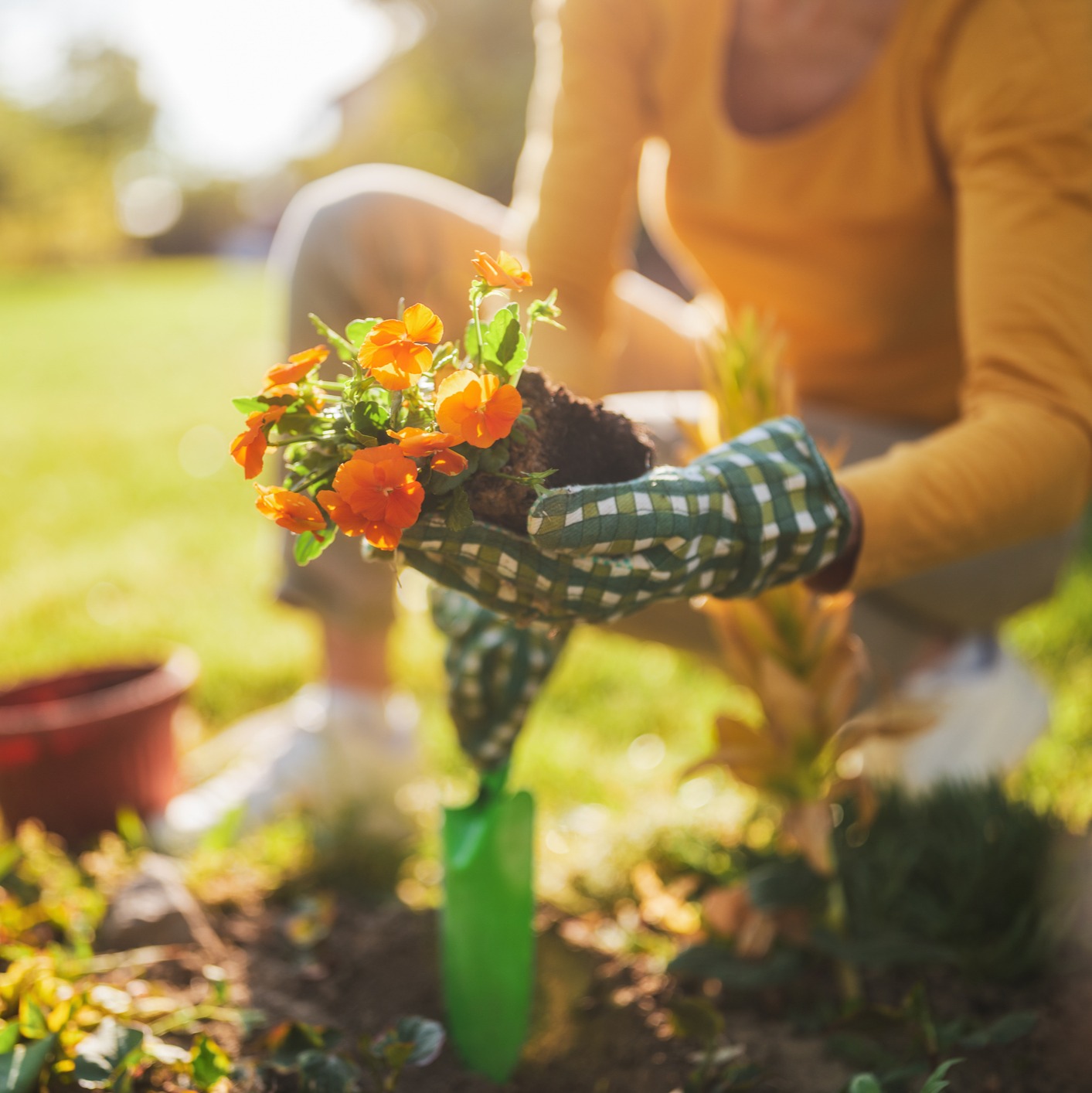 With Spring abound, time clean up the garden! episode artwork