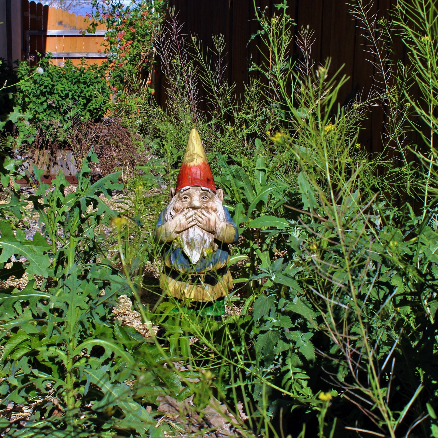 If you are uncertain of your grass, is there a good general weed and feed?: Full Show 3-22-2025 episode artwork