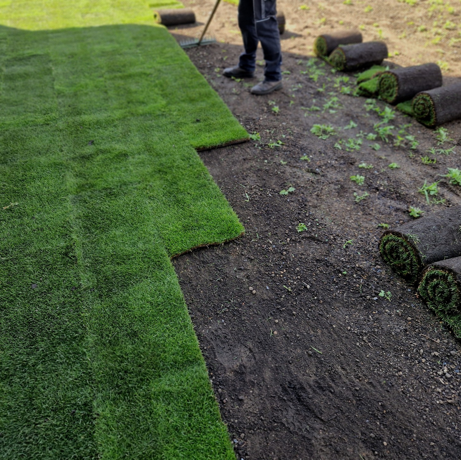 What should you know before laying sod?: Full Show 5-3-2025 episode artwork