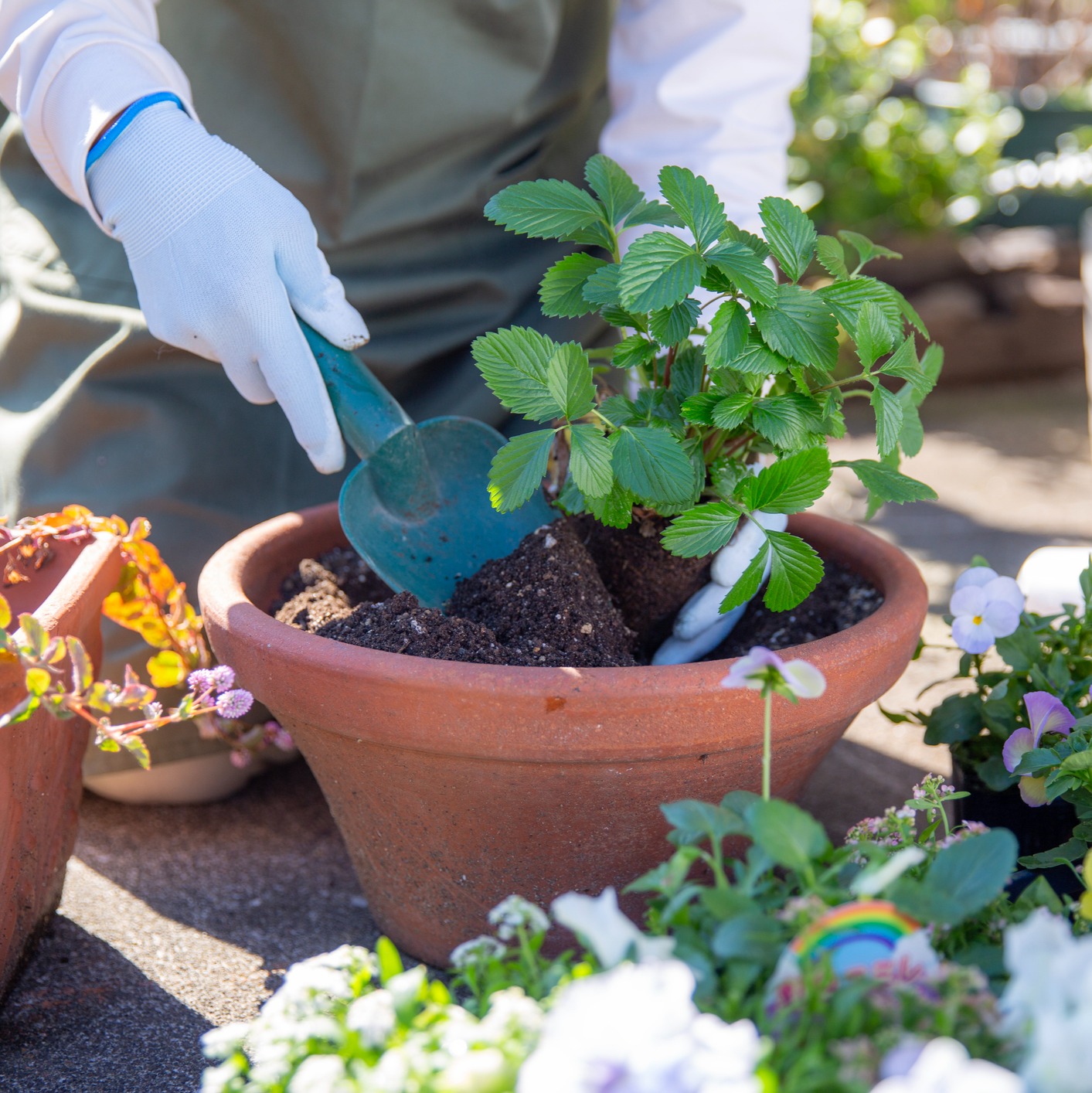 If you lack a green thumb, what should you know before starting a garden?: Full Show 6-28-2025 episode artwork