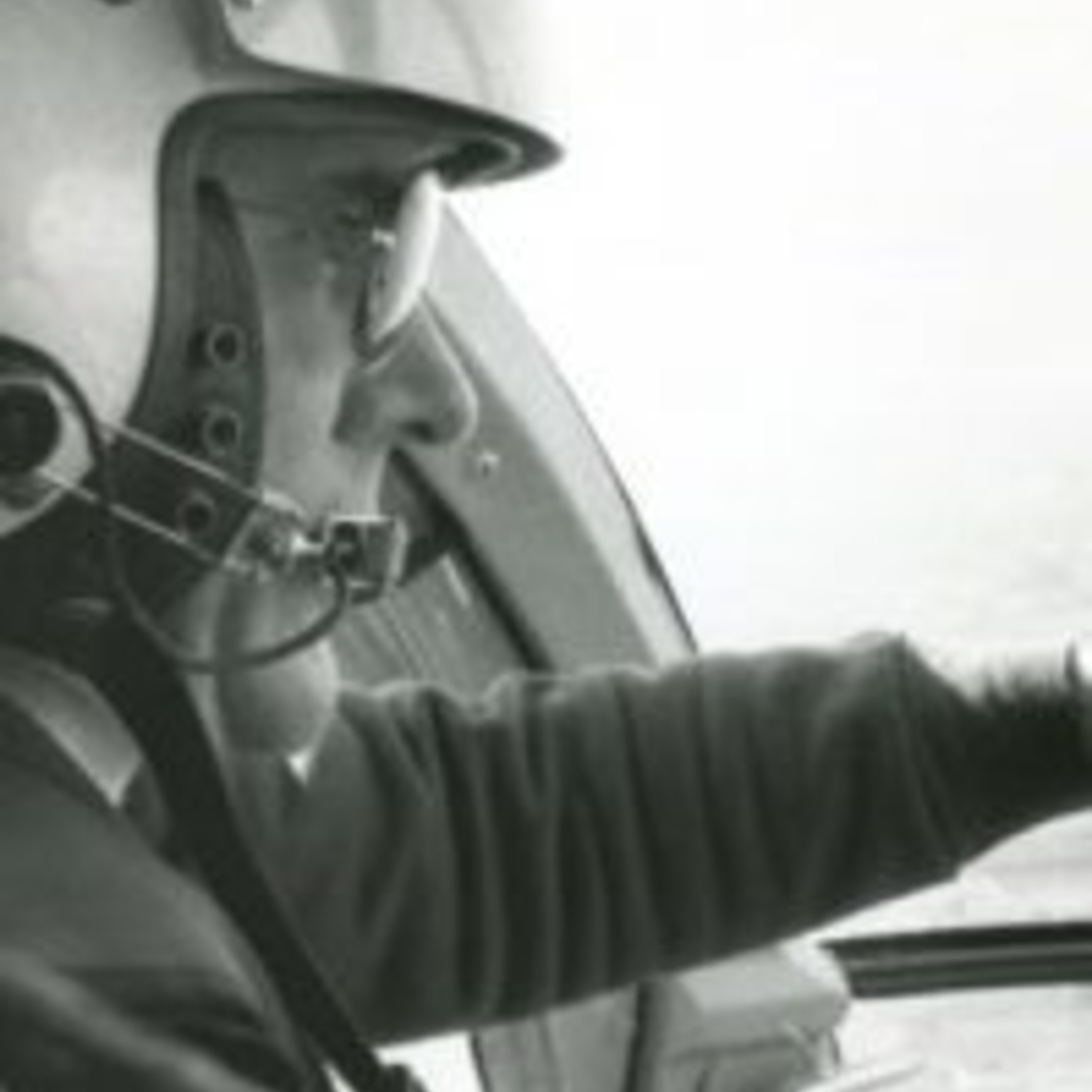 Back Stories: 'One Tough Bird'