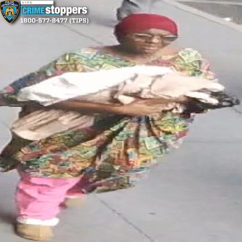 NYPD arrest mother who allegedly abandoned baby at Penn Station