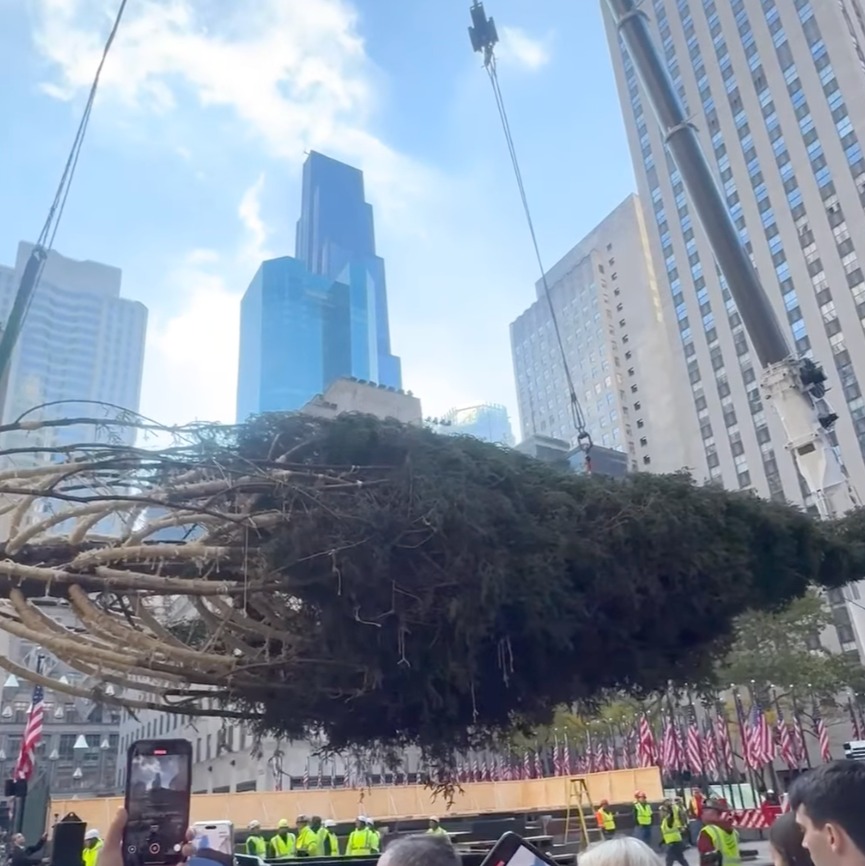 The Rockefeller Center Christmas tree arrives in Midtown