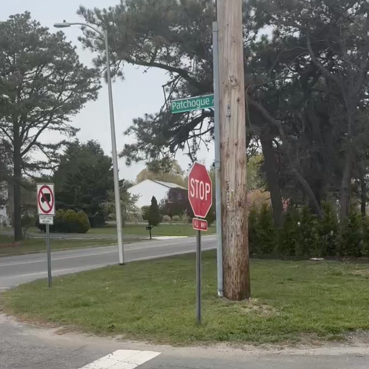 Long Island mom saves child from being attacked by dog episode artwork