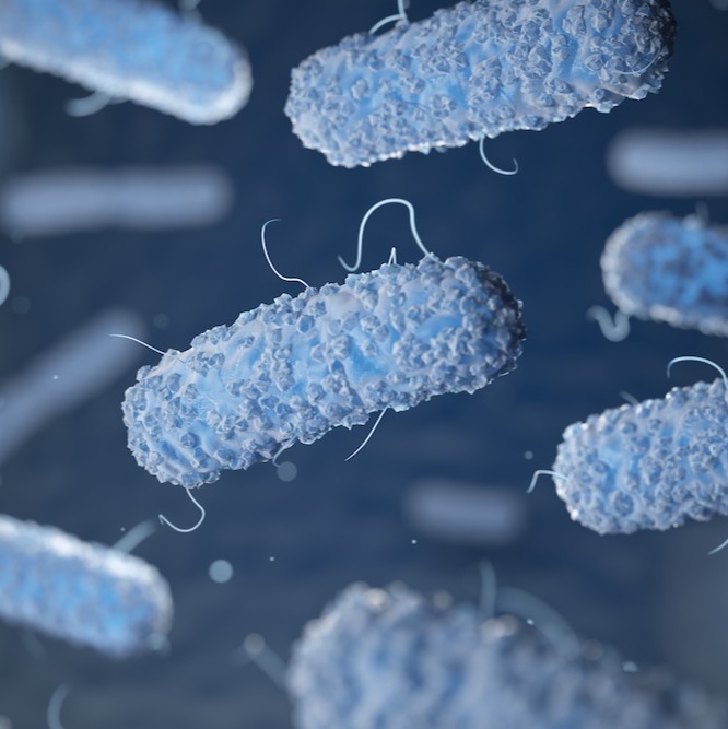 More frequent Legionella testing now required in NYC buildings with cooling towers episode artwork