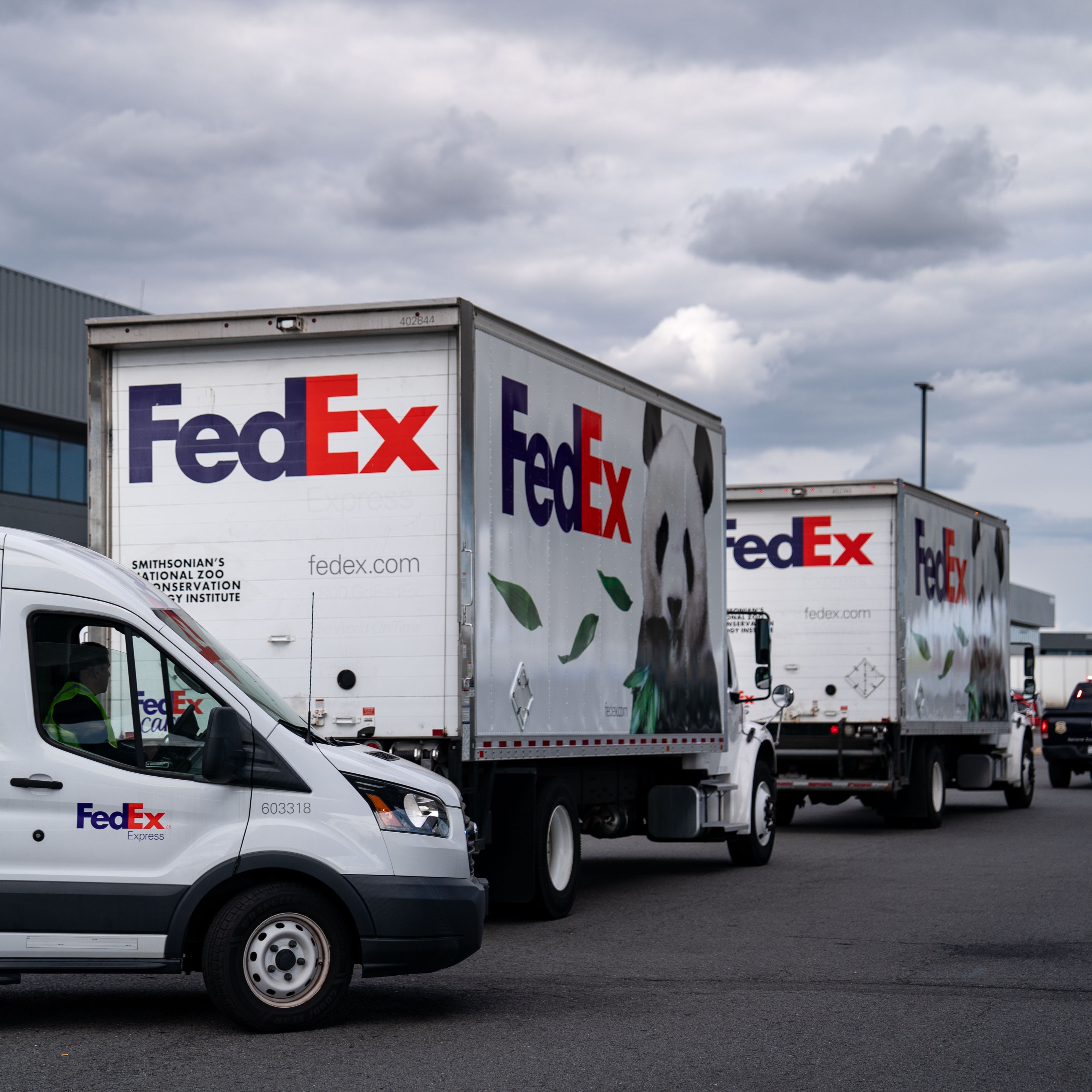 NYC teen allegedly stole nearly $100K in packages on Long Island episode artwork