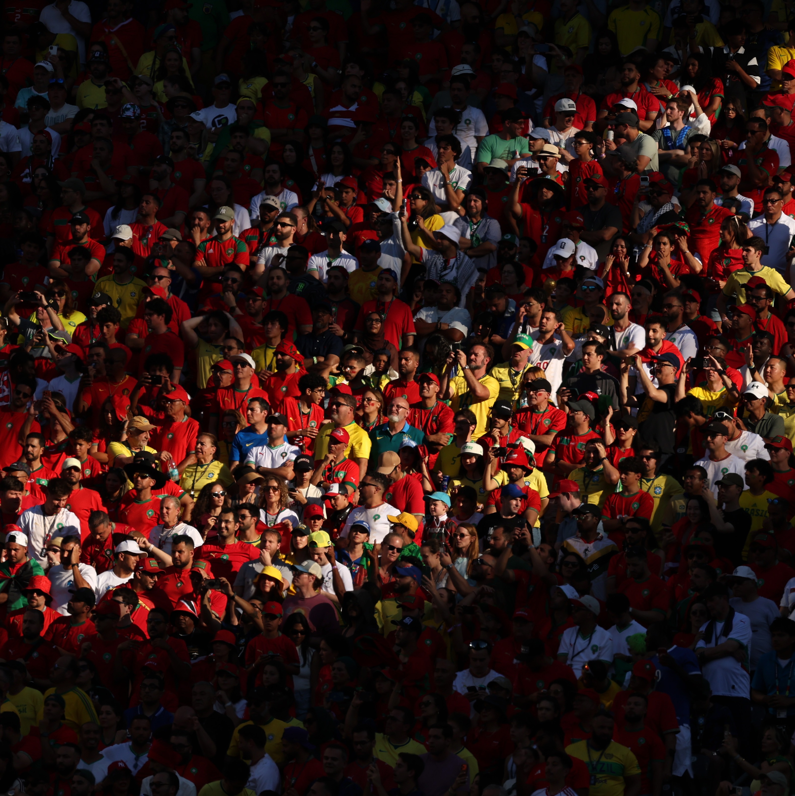 World Cup watch parties to begin at American Museum of Natural History episode artwork