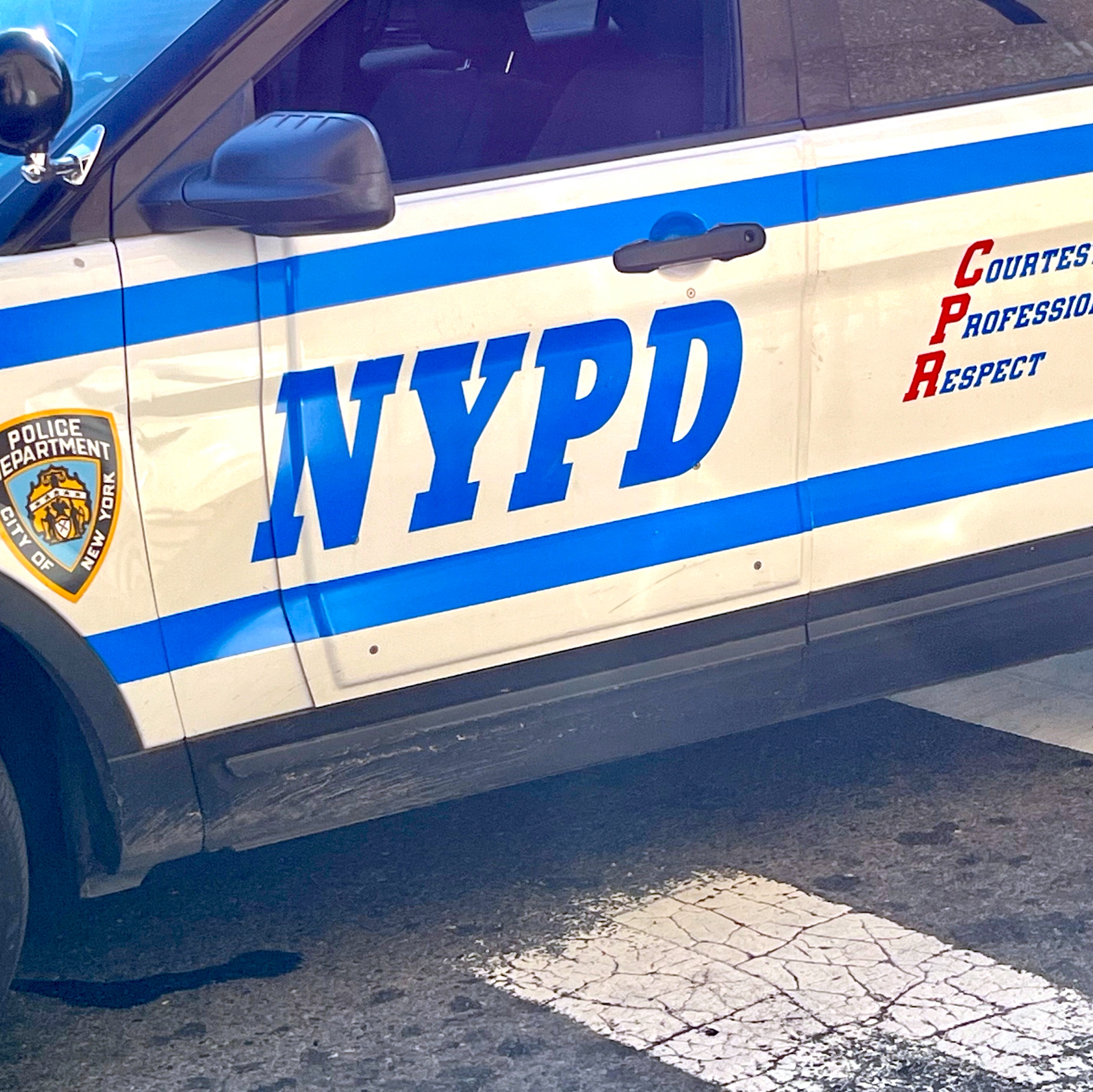 Out-of-control driver plows into pedestrians at Fort Greene block party episode artwork