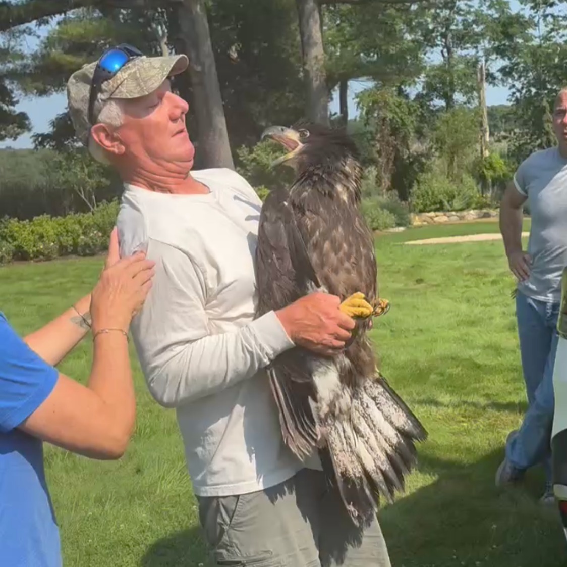 Bald eagle nursed back to health by Long Island rehab episode artwork