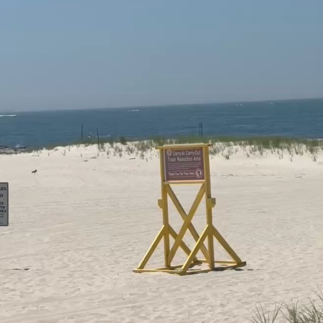 9-foot shark spotted off Long Island beach episode artwork