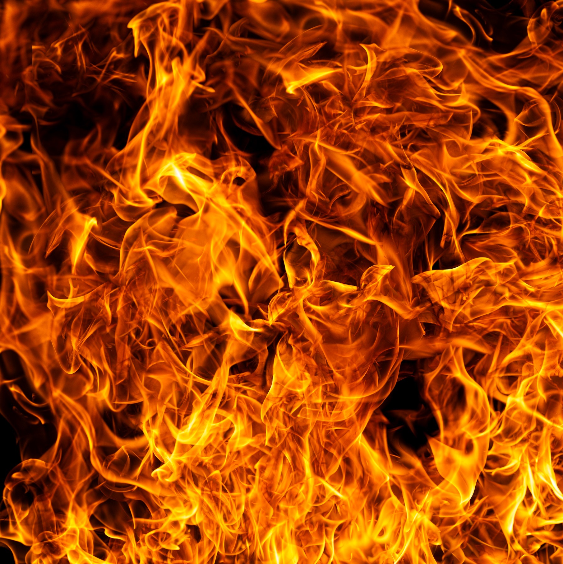 Dog saves family from fast-moving fire in Massapequa episode artwork