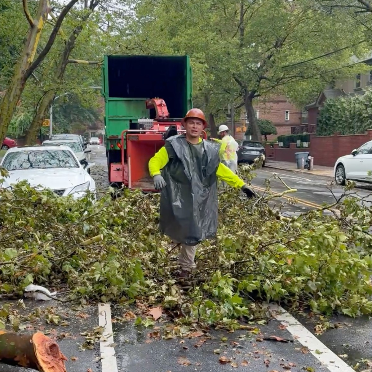 Rain-soaked storms topple trees in Brooklyn episode artwork