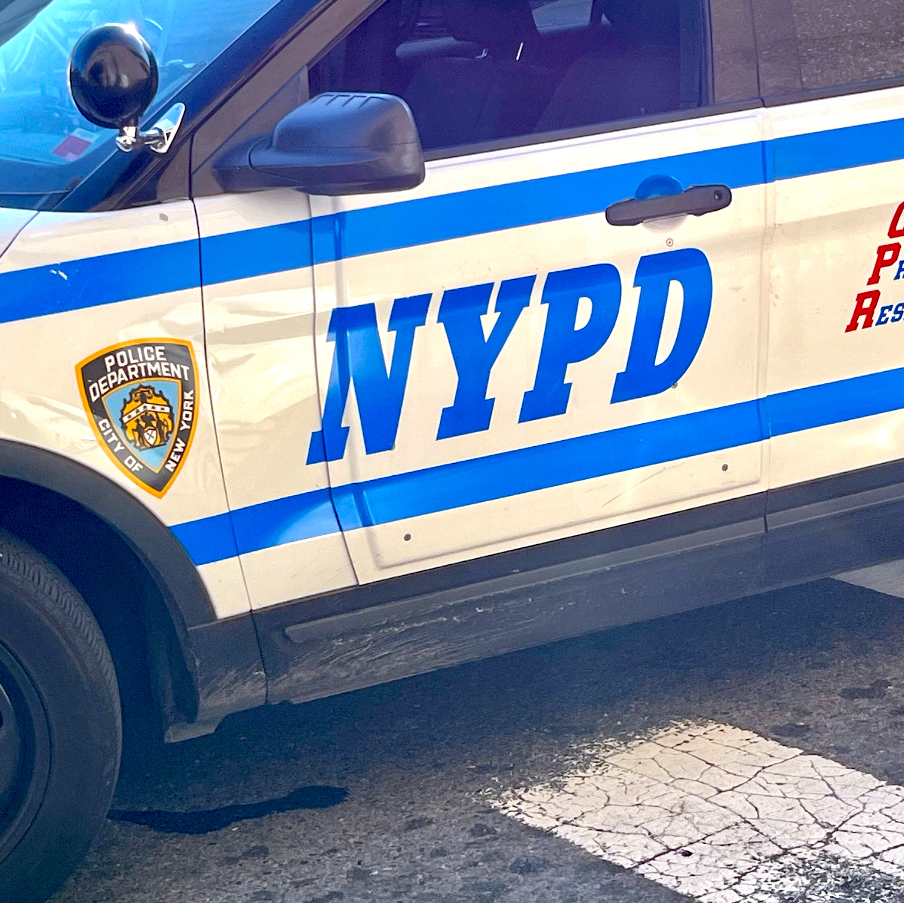 NYC council member victim of targeted attacks episode artwork