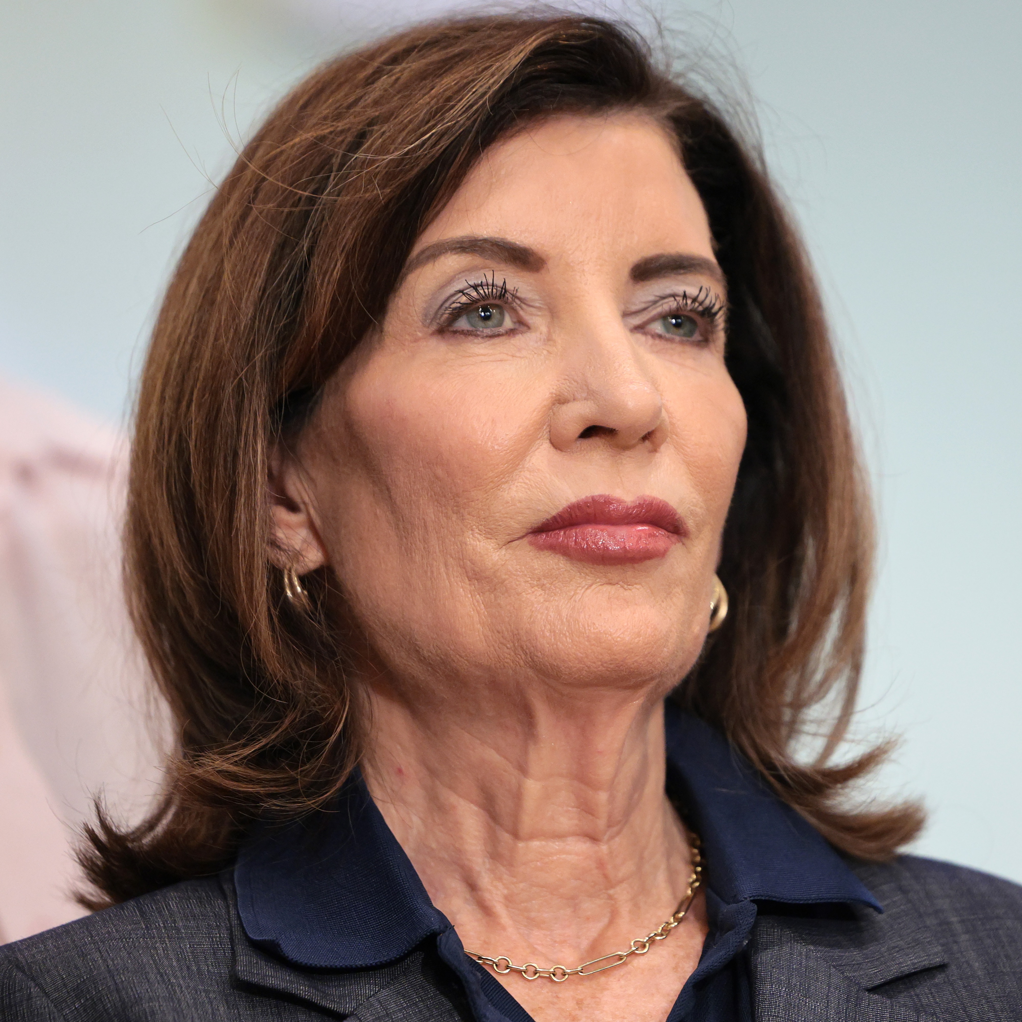 Hochul says Blakeman ‘has no credibility’ after he posts AI ‘Shady Bunch’ song about her episode artwork