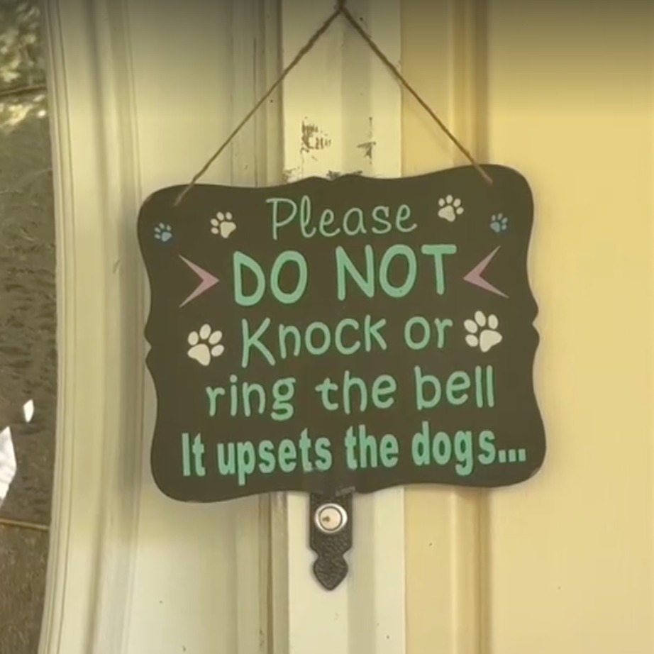 Neighbors are headed to court to get 2 pit bulls out of Long Island home after attacks episode artwork