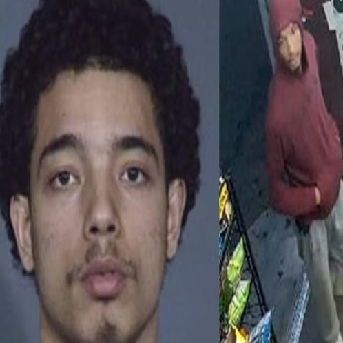 The FBI is offering a large reward to find the man behind 2 fatal shootings in NYC episode artwork