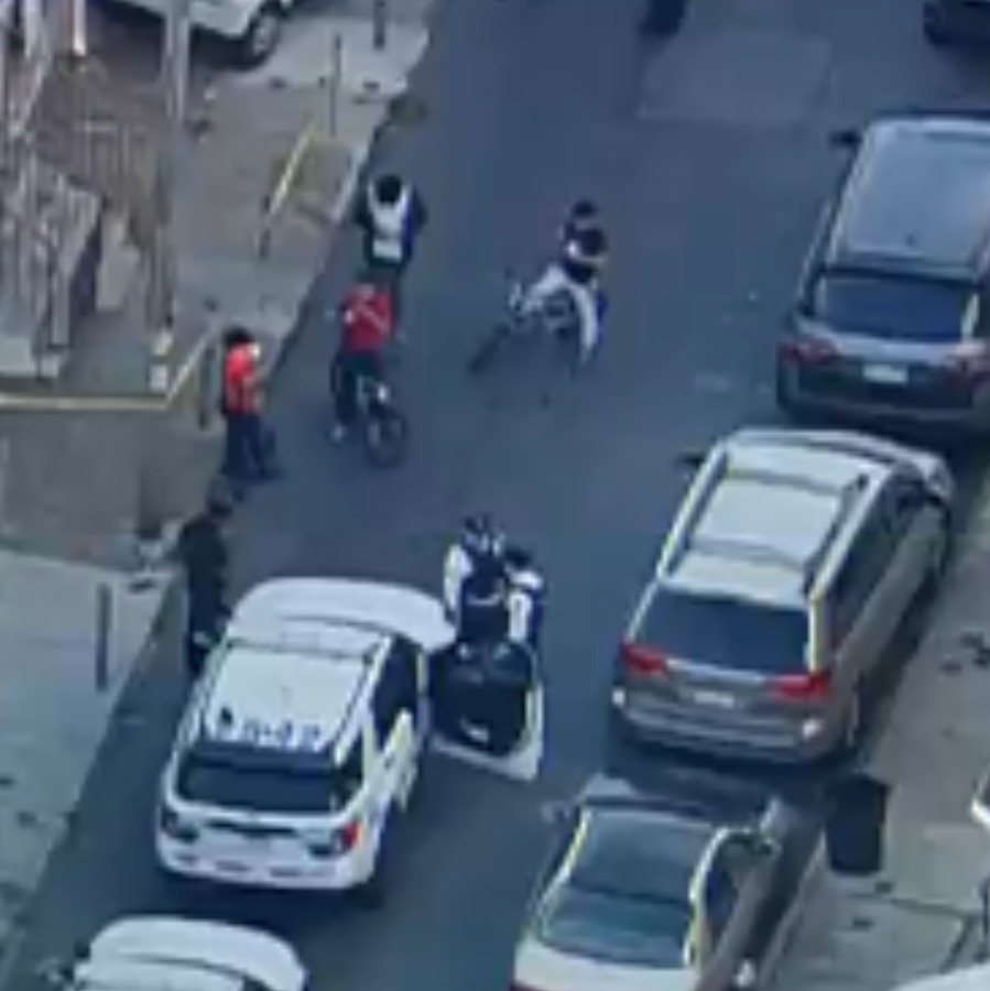 2 kids hospitalized after pit bull attack in Kensington episode artwork