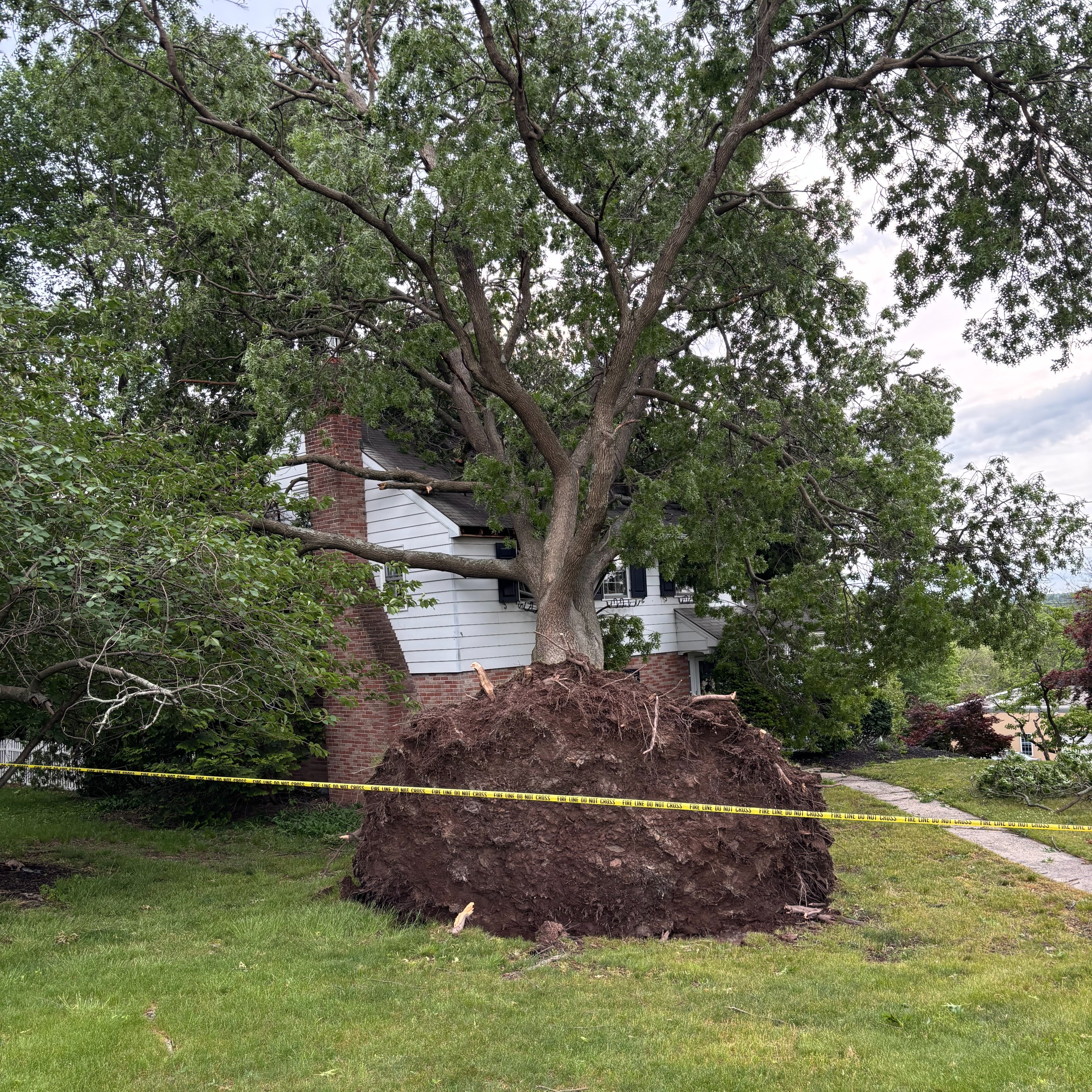 Overnight storms wallop parts of Montgomery County episode artwork