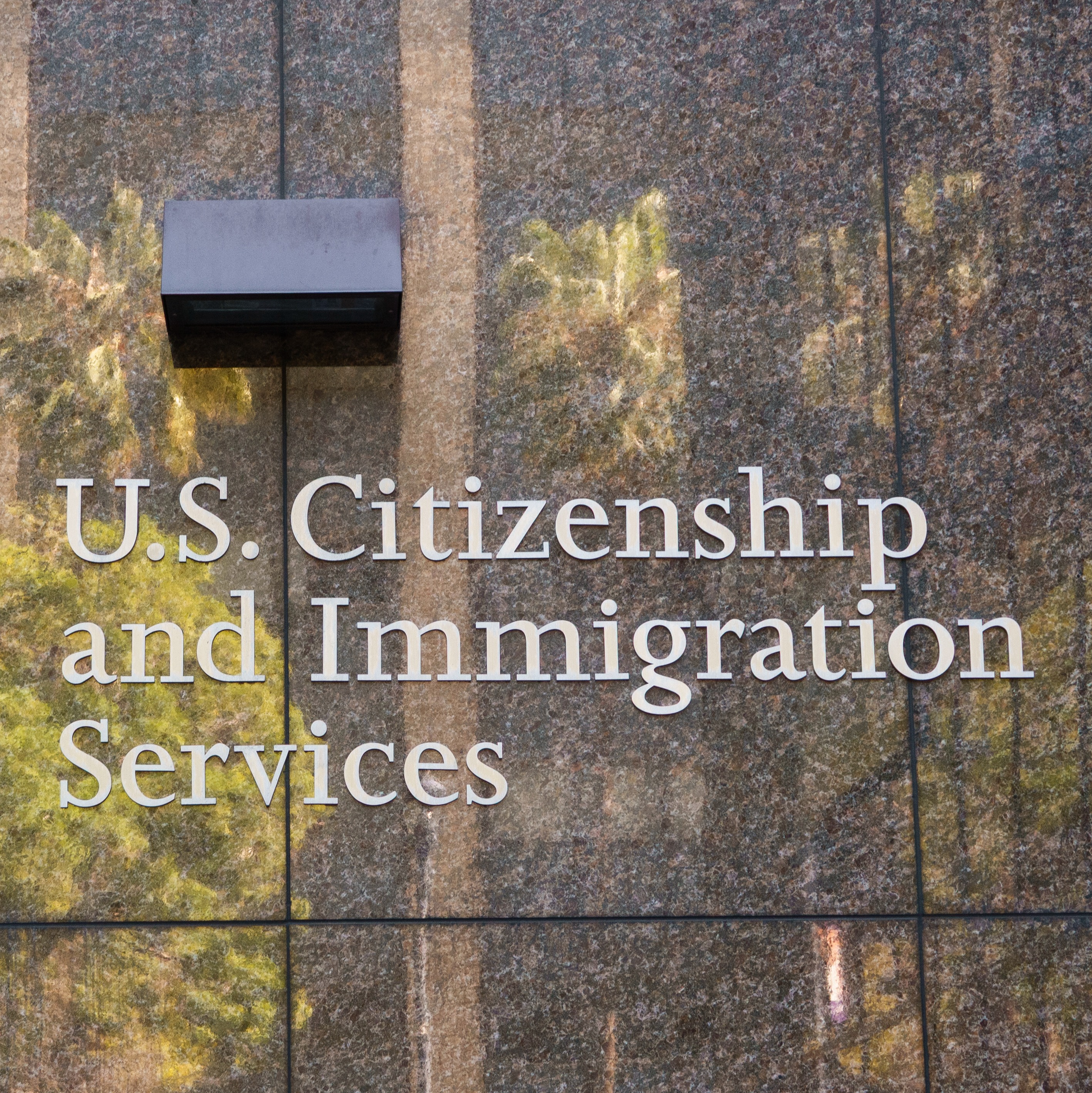 Federal government forcing foreigners in US to apply for green card in country of origin episode artwork