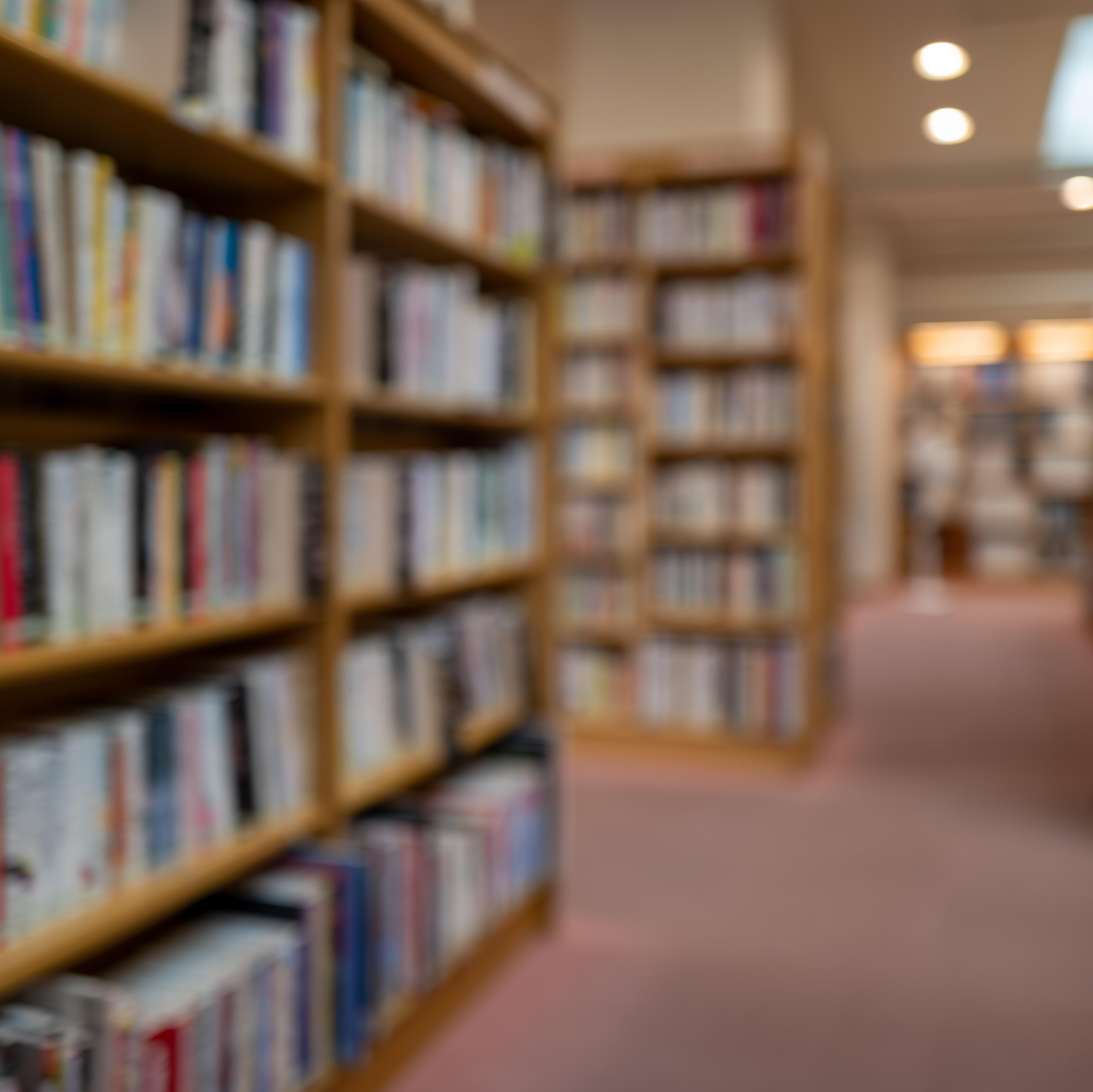 Nonprofit works directly with local libraries to create free literacy events episode artwork