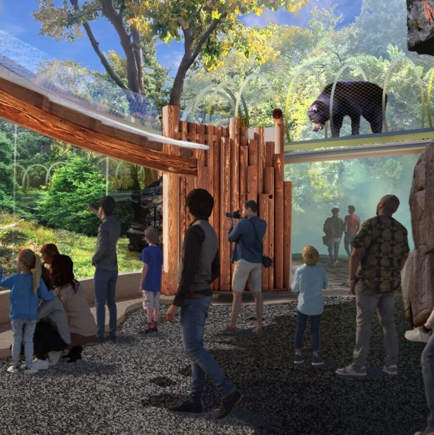New bear habitat at Philadelphia Zoo debuts next week episode artwork