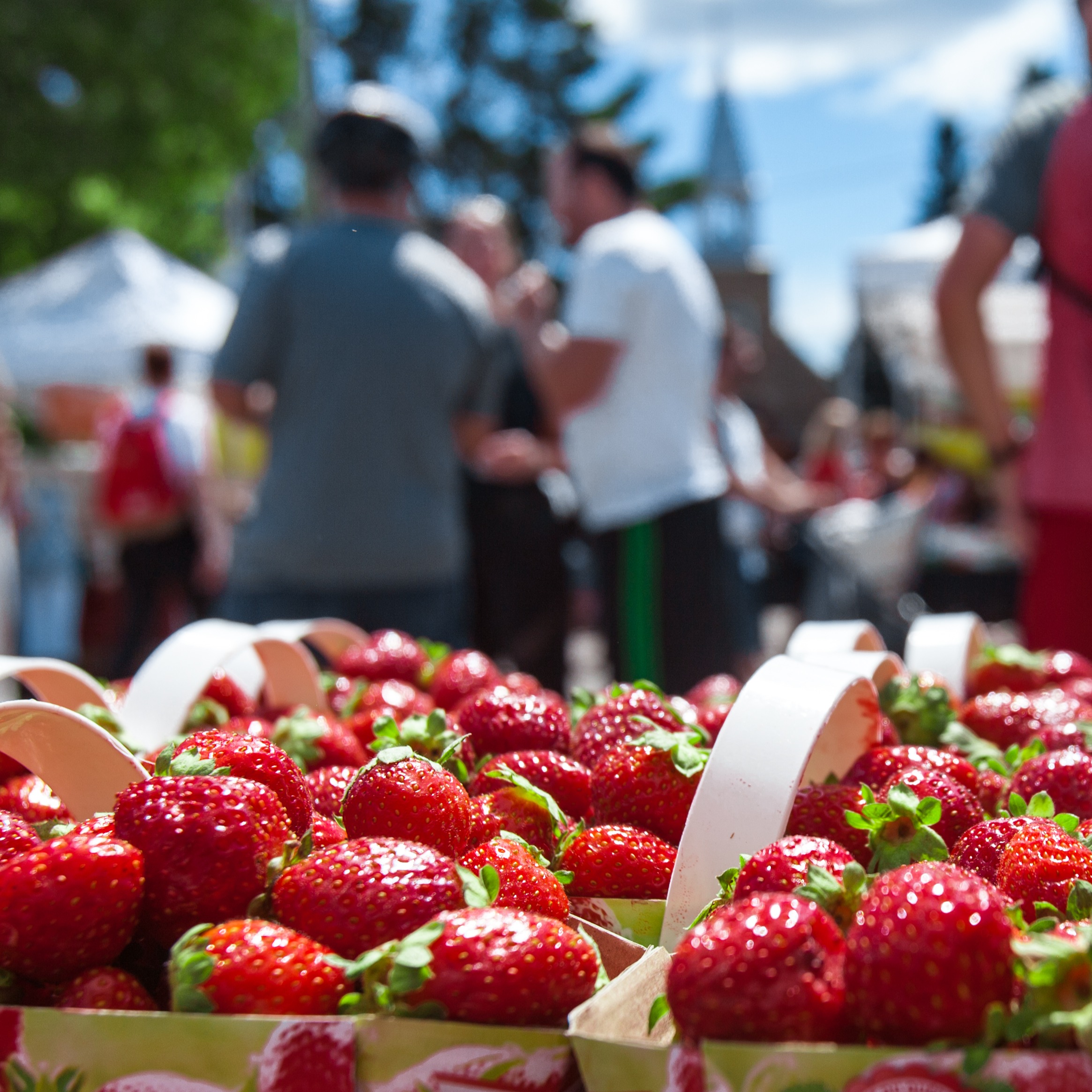 Strawberry Mansion prepares for busy summer of festivals, community events episode artwork