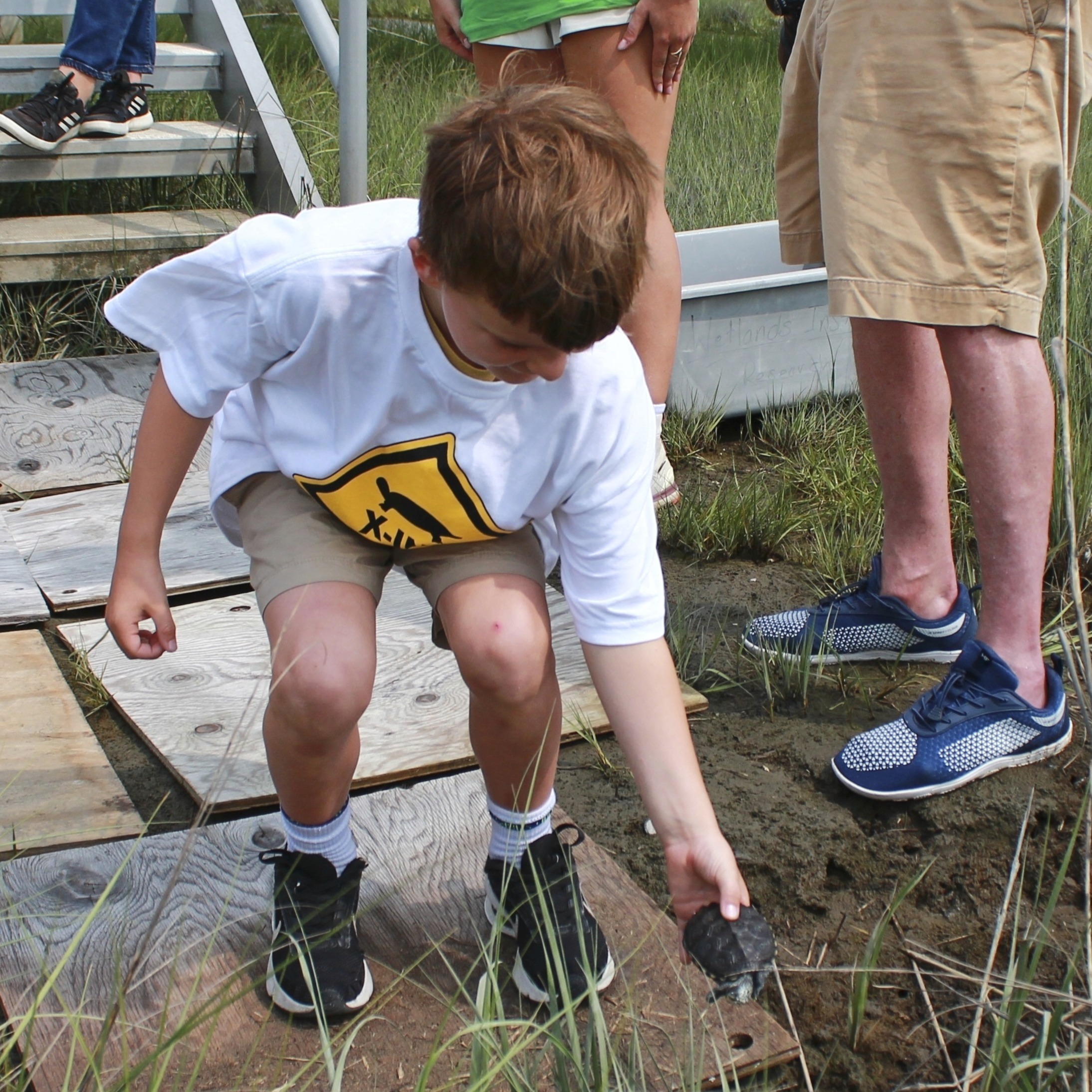Kindergarteners release young turtles into new habitats in Stone Harbor salt marshes episode artwork