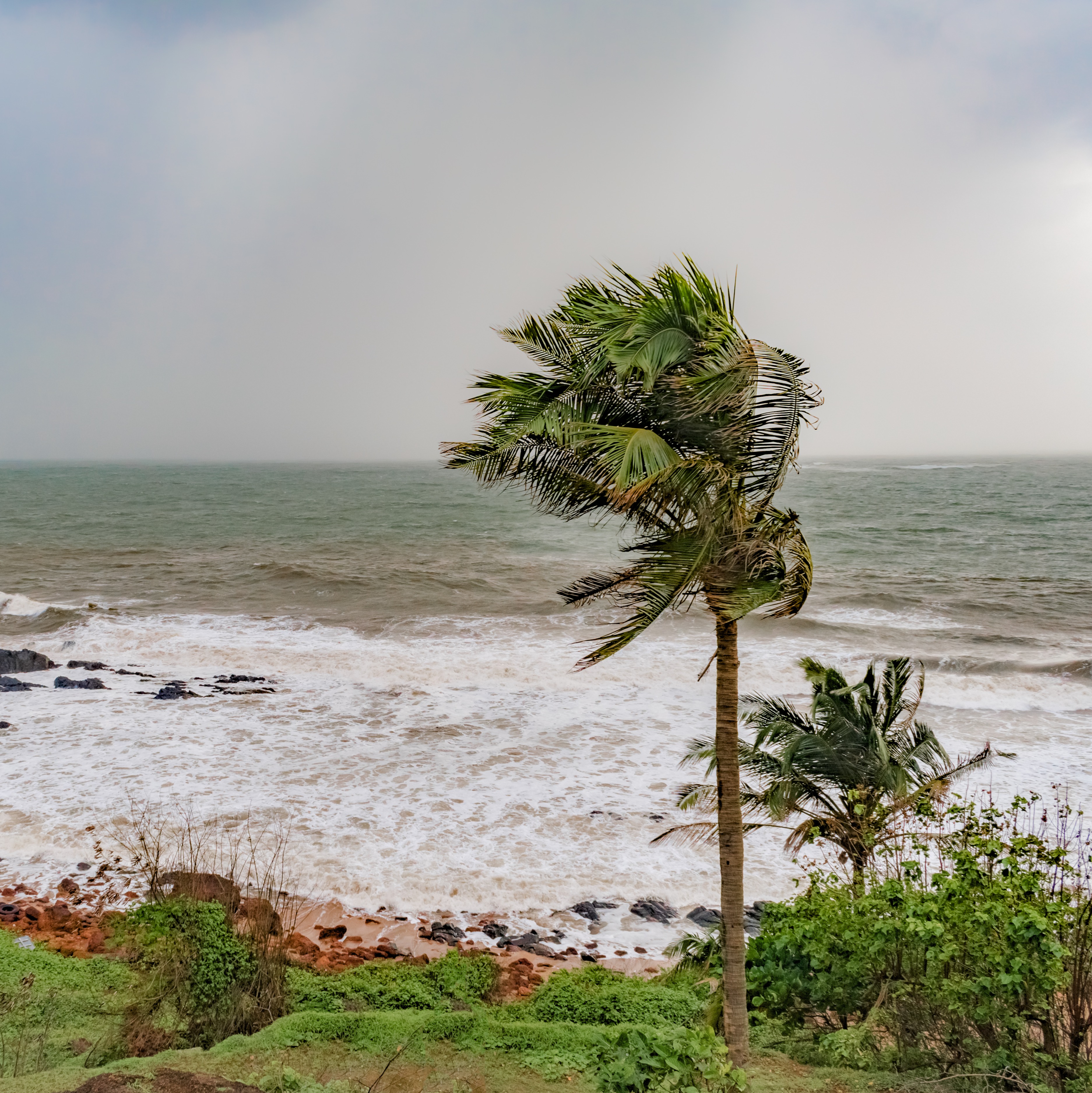 El Niño arrives with potential for historic strength, meteorologists say episode artwork