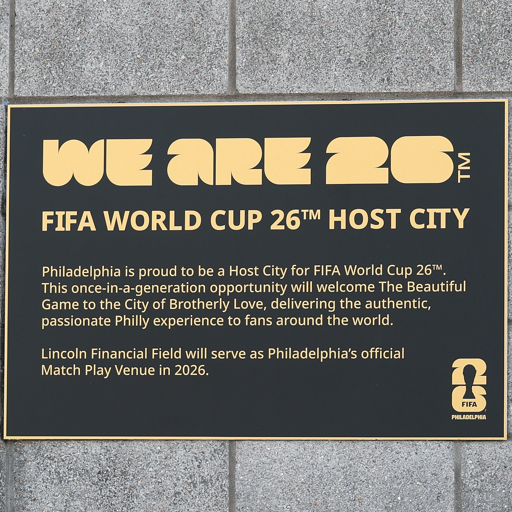 Doctors warn of disease spread ahead of World Cup events episode artwork