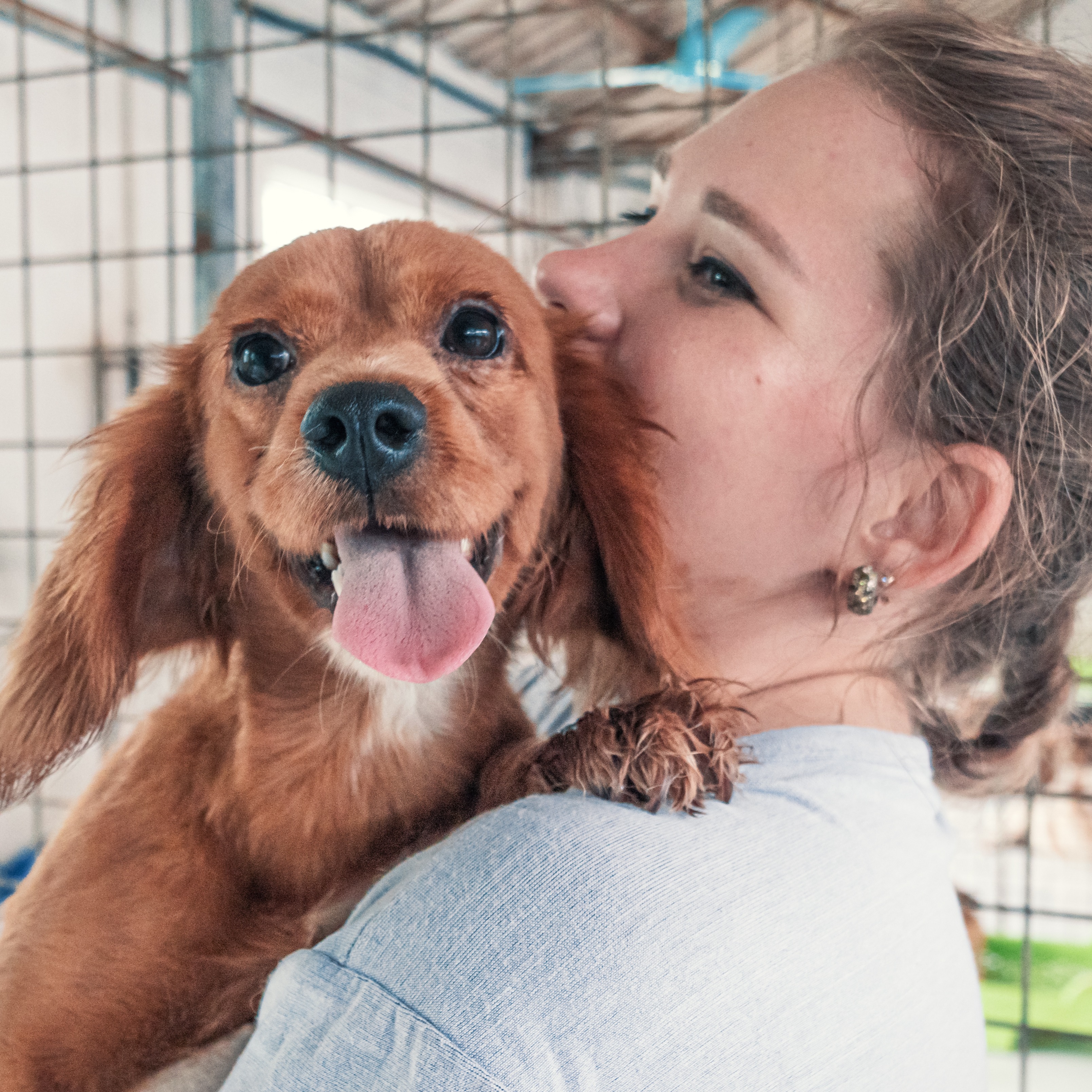 Brandywine Valley SPCA to host Mega Adoption Event next weekend episode artwork
