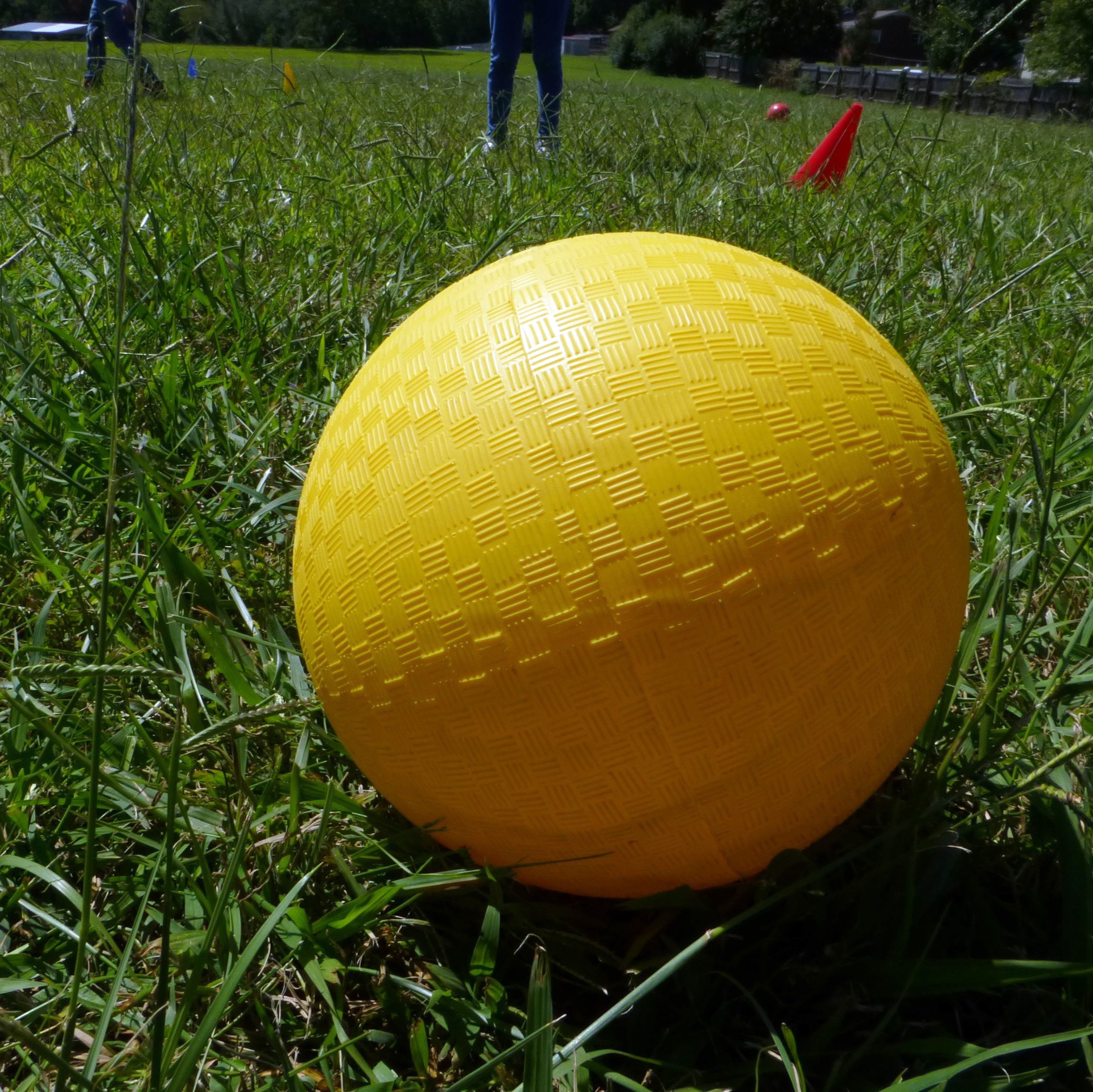 Ultimate dodgeball showdown underway at Ben Franklin High School episode artwork