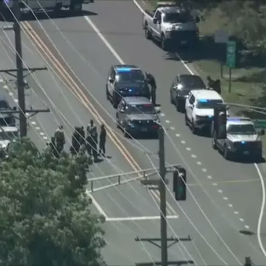 ICE agent fires shots after being struck by van in New Jersey episode artwork