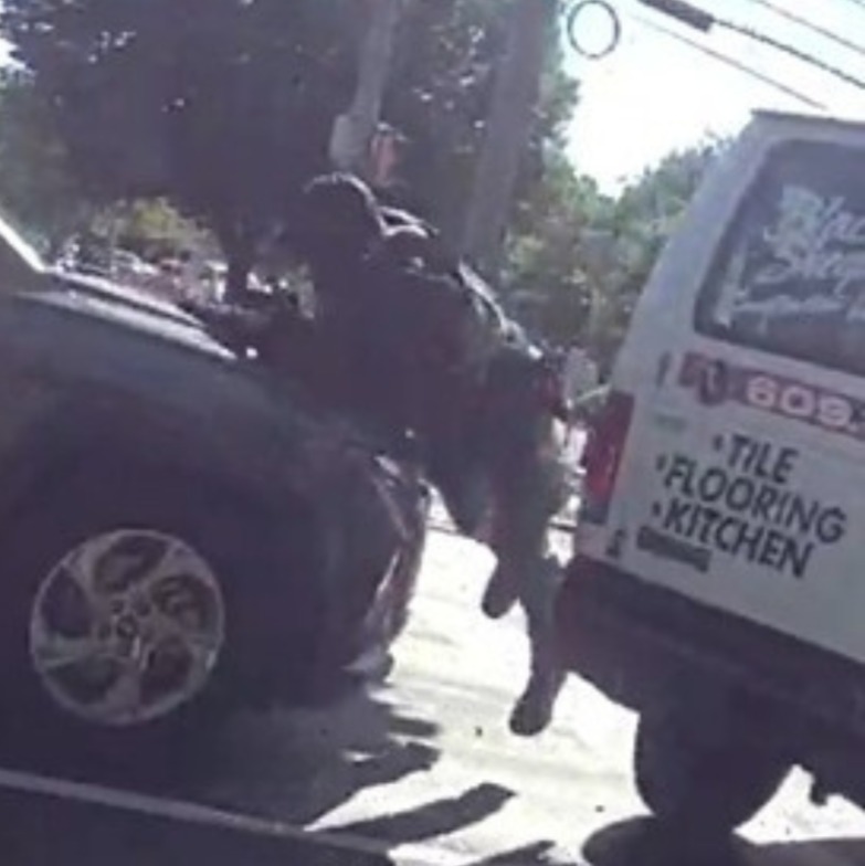 Feds: Undocumented immigrant charged after striking ICE agent with van in NJ episode artwork