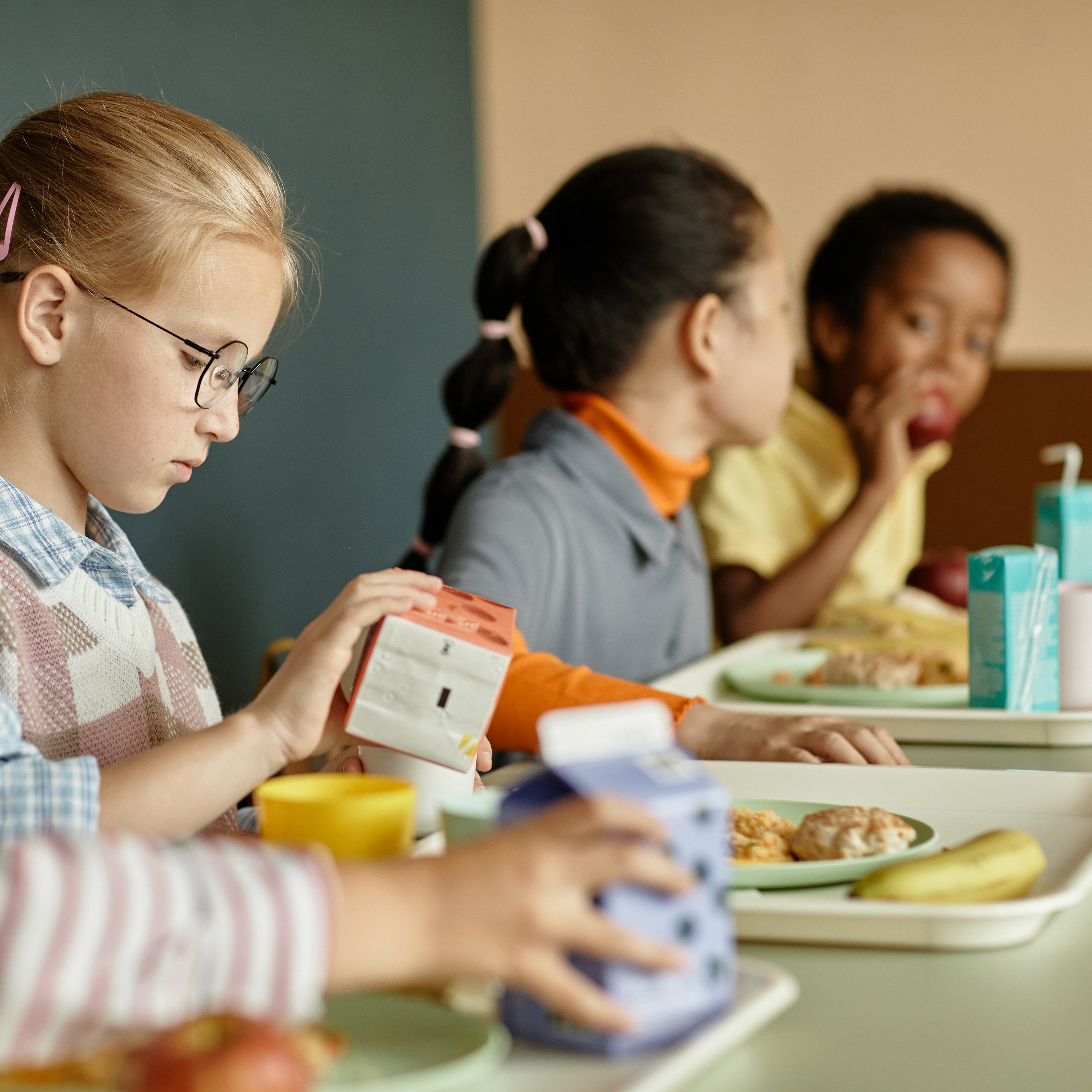 Under new legislation, NJ schools must post info about free and reduced lunches on their websites episode artwork